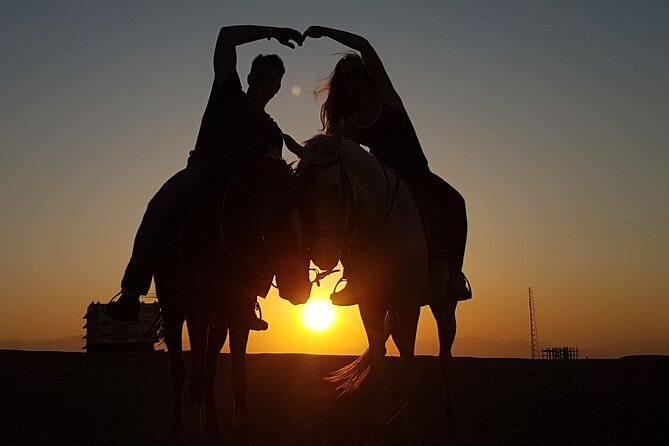 Horse Riding Tour 2 Hours Sea And Desert with Transfer - Hurghada - Safety, conduct, and animal welfare