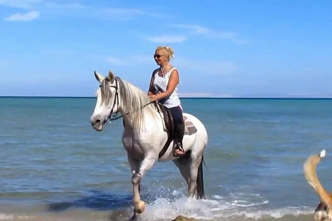 Horse Riding Tour Two Hours Sun & Sea With Transfer - Hurghada - Key points to know before you book