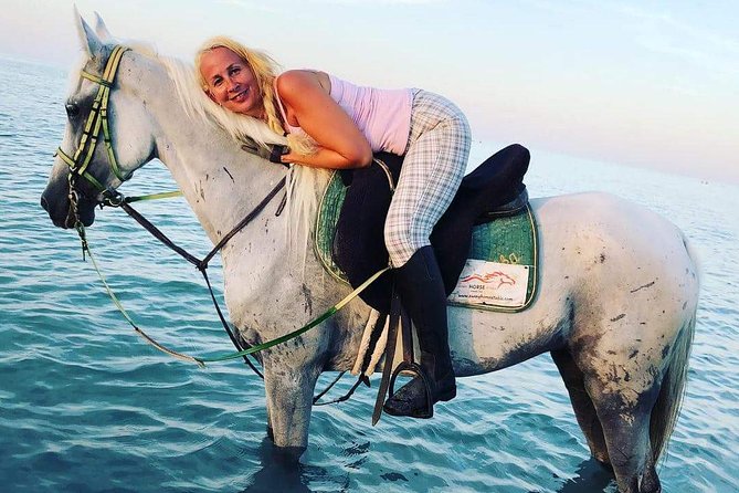Horse Riding Tour Two Hours Sun & Sea With Transfer - Hurghada - Choosing a horse and getting started