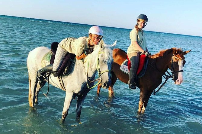 Horse Riding Tour Two Hours Sun & Sea With Transfer - Hurghada - Riding into the Red Sea