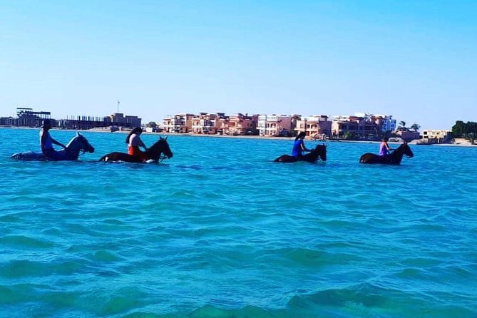 Horse Riding Tour Two Hours Sun & Sea With Transfer - Hurghada - The guide, safety, and group atmosphere