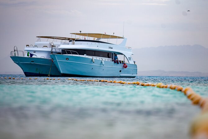 Hula Hula Island Snorkeling Sea Trip With Lunch - Hurghada - Who should book this Hurghada boat day?