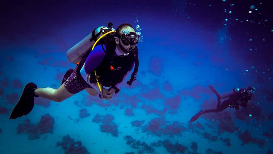 Hurghada: 1, 2, 3, 4, or, 5-Day Scuba Diving Package - Key points before you book