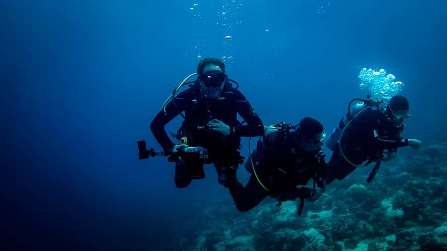 Hurghada: 1, 2, 3, 4, or, 5-Day Scuba Diving Package - From your Hurghada hotel to the marina