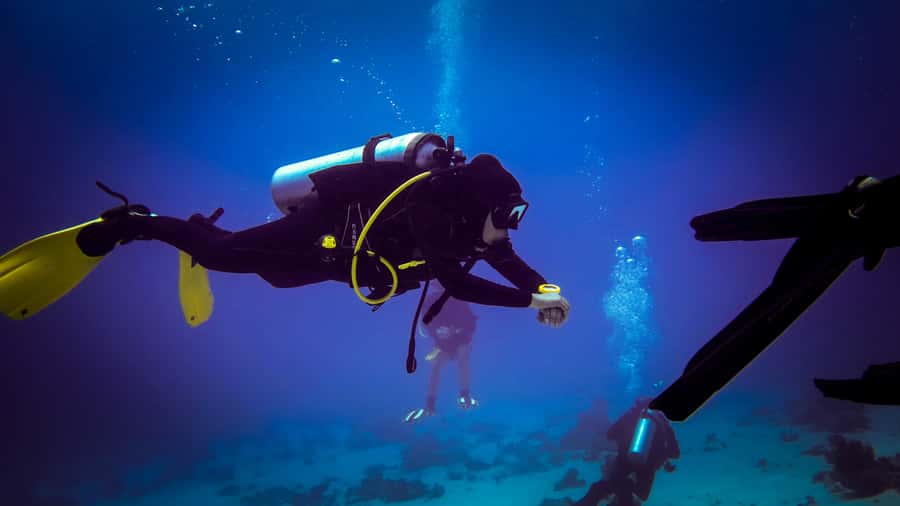 Hurghada: 1, 2, 3, 4, or, 5-Day Scuba Diving Package - Two Red Sea reef sessions