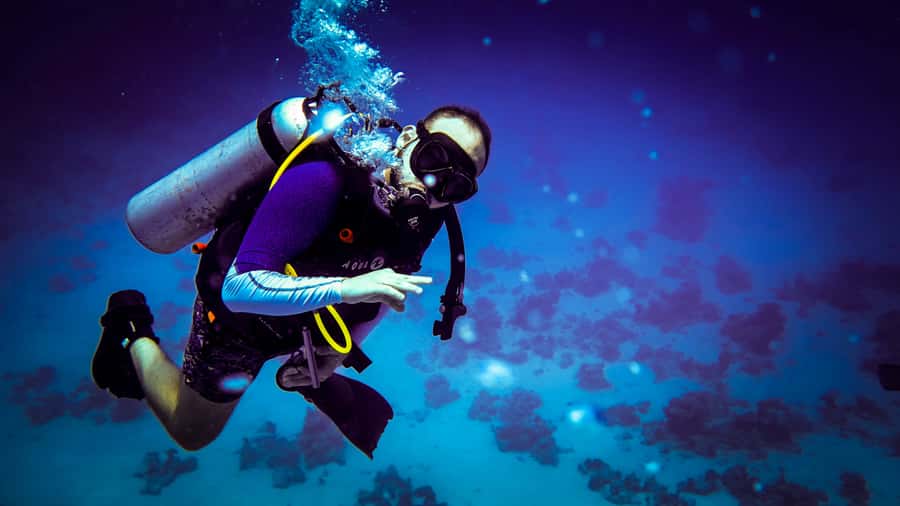 Hurghada: 1, 2, 3, 4, or, 5-Day Scuba Diving Package - How the $58 price really works