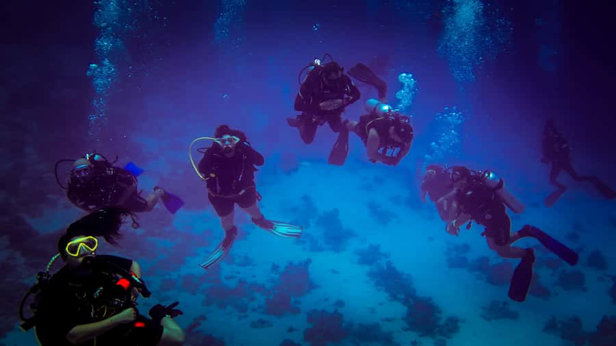 Hurghada: 1, 2, 3, 4, or, 5-Day Scuba Diving Package - One day or a five-day package?