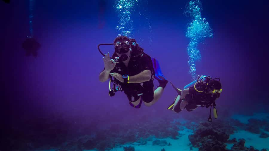 Hurghada: 1, 2, 3, 4, or, 5-Day Scuba Diving Package - What to bring for a smoother day