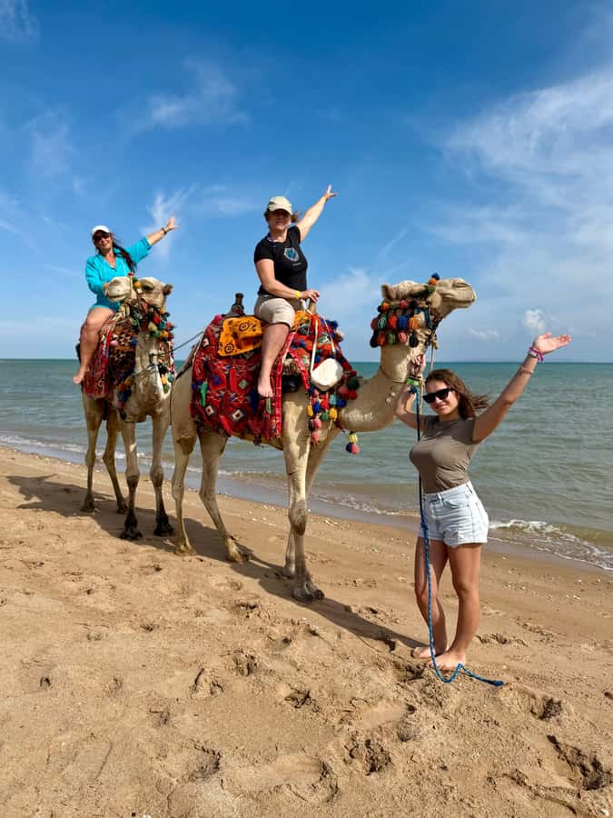 Hurghada: 1-Hour Desert & Beach Camel Ride with Transfers - Key points to know before you book
