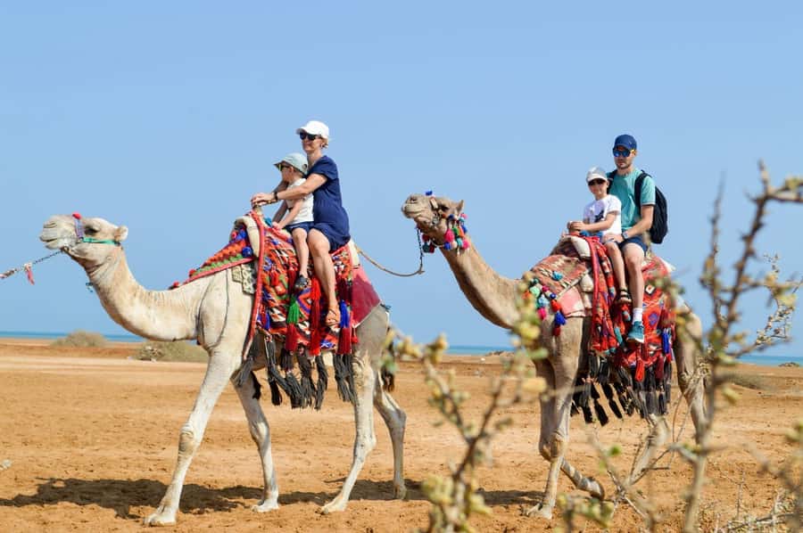 Hurghada: 1-Hour Desert & Beach Camel Ride with Transfers - Through the Hurghada desert