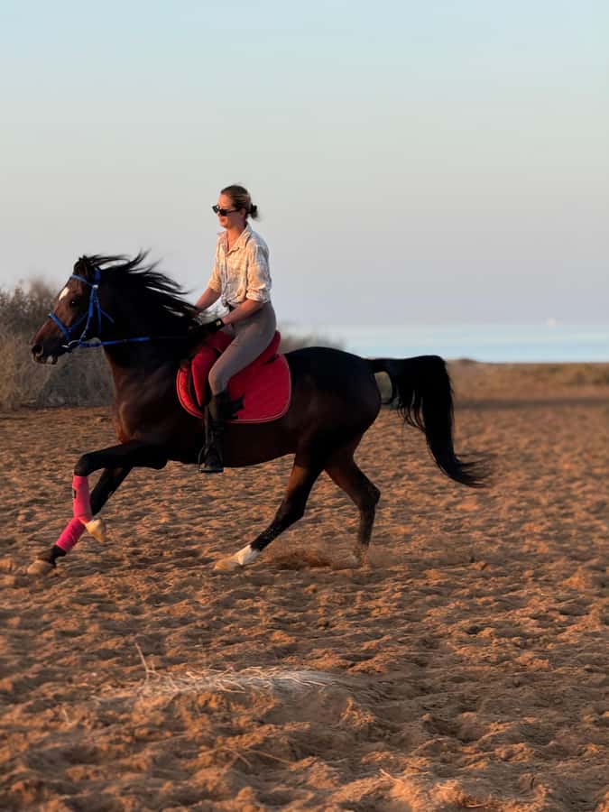 Hurghada: 1-Hour Desert & Beach Camel Ride with Transfers - Friendly guides and the personal touch
