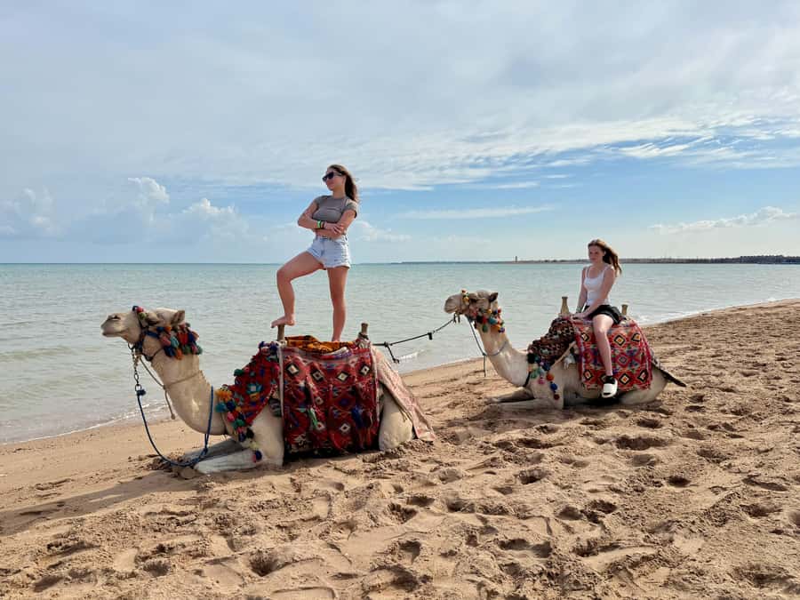 Hurghada: 1-Hour Desert & Beach Camel Ride with Transfers - How much value do you get for $39?