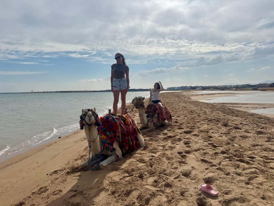 Hurghada: 1-Hour Desert & Beach Camel Ride with Transfers - Timing, pickup, and small details that matter