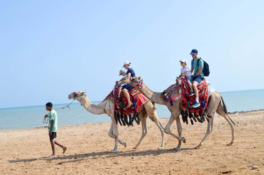 Hurghada: 1-Hour Desert & Beach Camel Ride with Transfers - Mounting the camel and getting comfortable