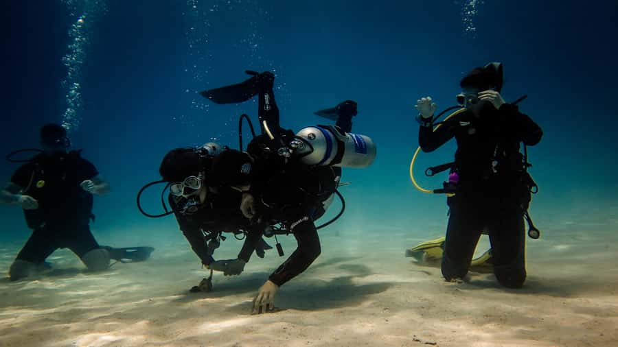 Hurghada: 3-Day PADI Open Water Diving Course - Day two: building control and looking beyond the skills