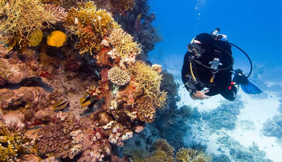 Hurghada: 3-Day PADI Open Water Diving Course - Smart preparation before your first morning