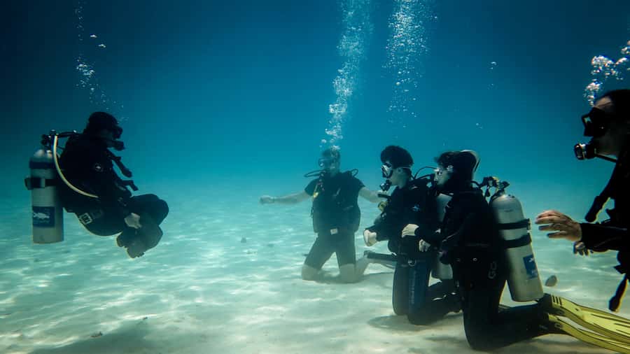 Hurghada: 3-Day PADI Open Water Diving Course - Day one: equipment, theory, and first underwater practice