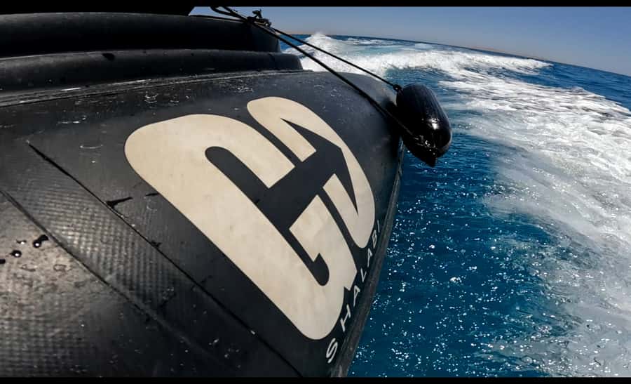 Hurghada: 3-Island Speedboat, Dolphin Watching & Snorkeling - Dolphin watching with realistic expectations