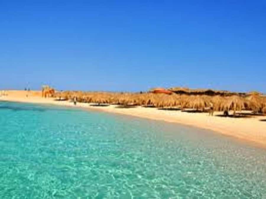 Hurghada: 3-Island Speedboat, Dolphin Watching & Snorkeling - Two reef stops, including the Balena wreck site