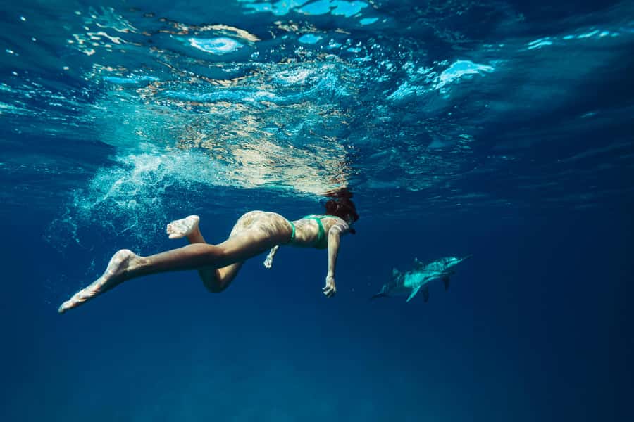 Hurghada: All-Inclusive Elite VIP Dolphin House & Massage - Key points to know before booking