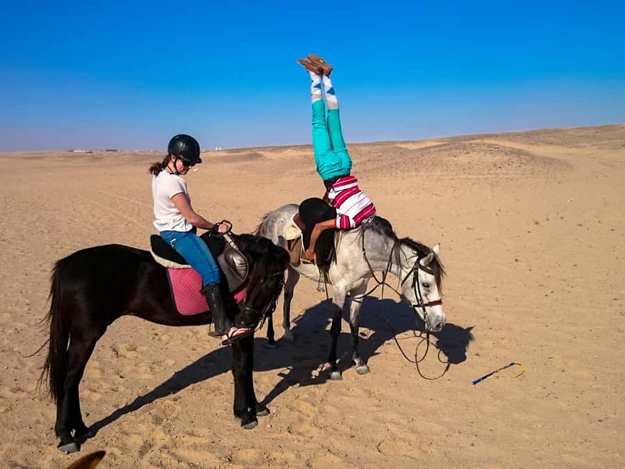 Hurghada: Arabian Desert and Sea Horseback Adventure - The desert route: quiet, open, and photo friendly