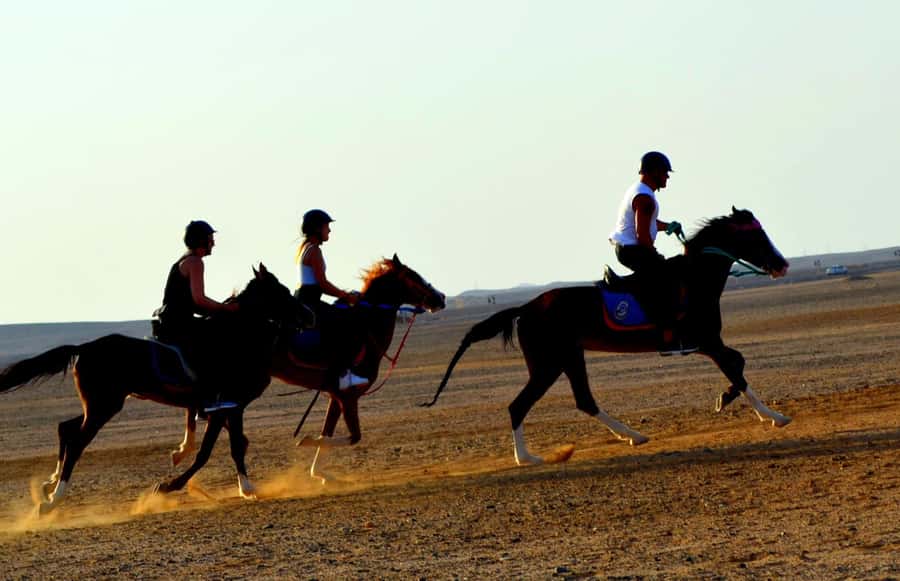 Hurghada: Arabian Desert and Sea Horseback Adventure - How safe and comfortable is it?