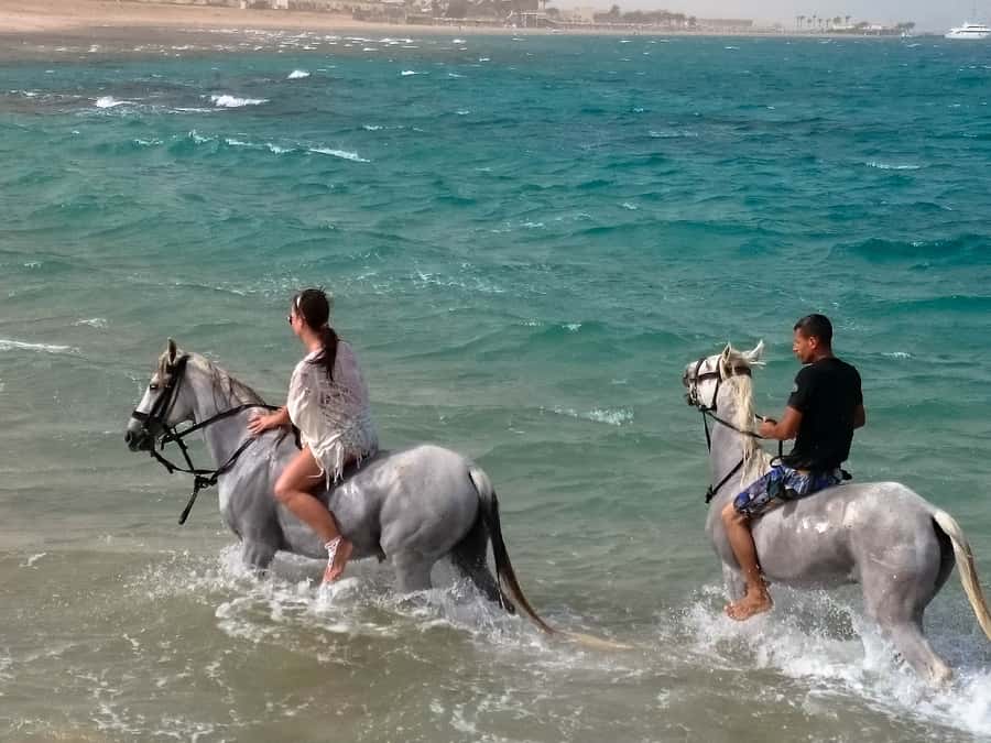 Hurghada: Arabian Desert and Sea Horseback Adventure - Families, beginners, and experienced riders