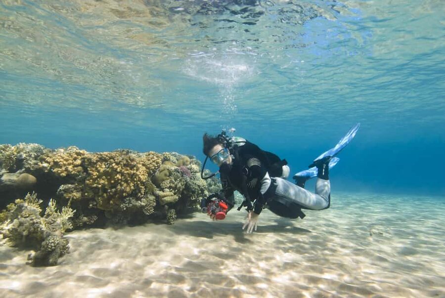 Hurghada: Beginners Scuba Diving Full-Day Boat Trip & Lunch - How much value do you get for $30?