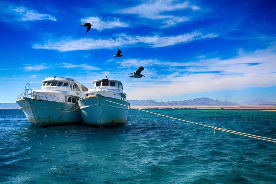 Hurghada: Beginners Scuba Diving Full-Day Boat Trip & Lunch - Should you book this Hurghada boat trip?