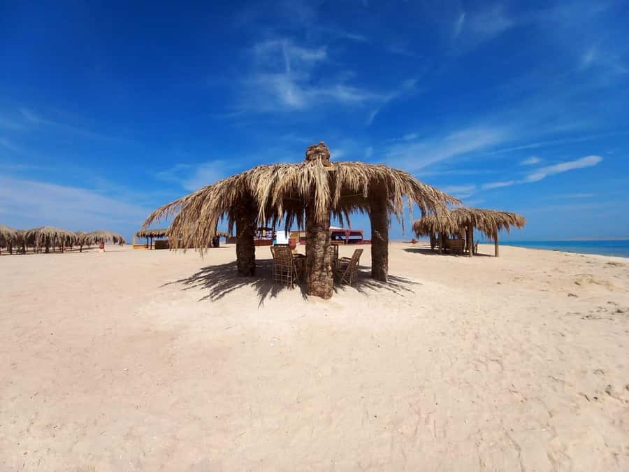 Hurghada: Boat trip to Magawish island with Multi Options - Getting from Hurghada to the boat
