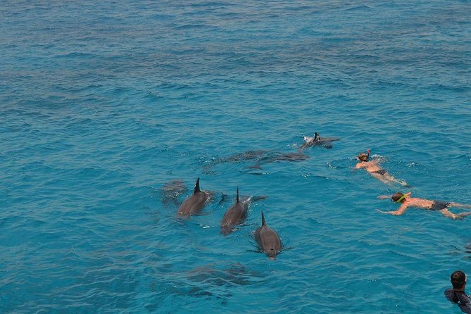 Hurghada Boat Trip to See Dolphins With Snorkeling and Lunch - Lunch on the boat, not at a restaurant