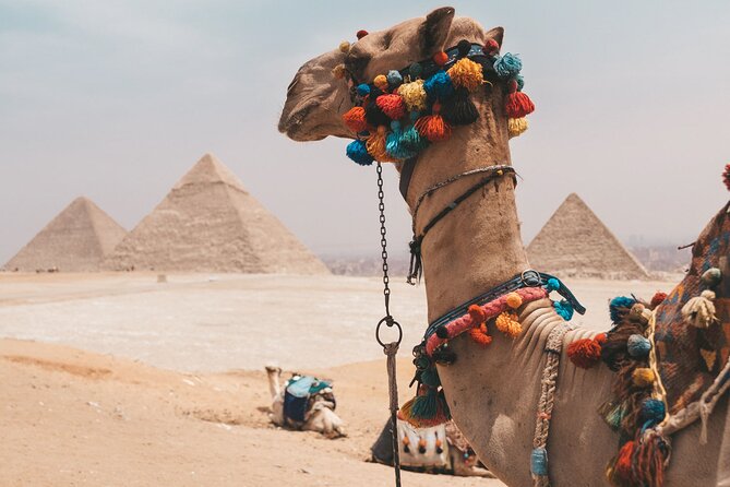 Hurghada: Cairo and Giza Highlights by mini Van with BBQ Lunch - The real shape of this Hurghada day trip