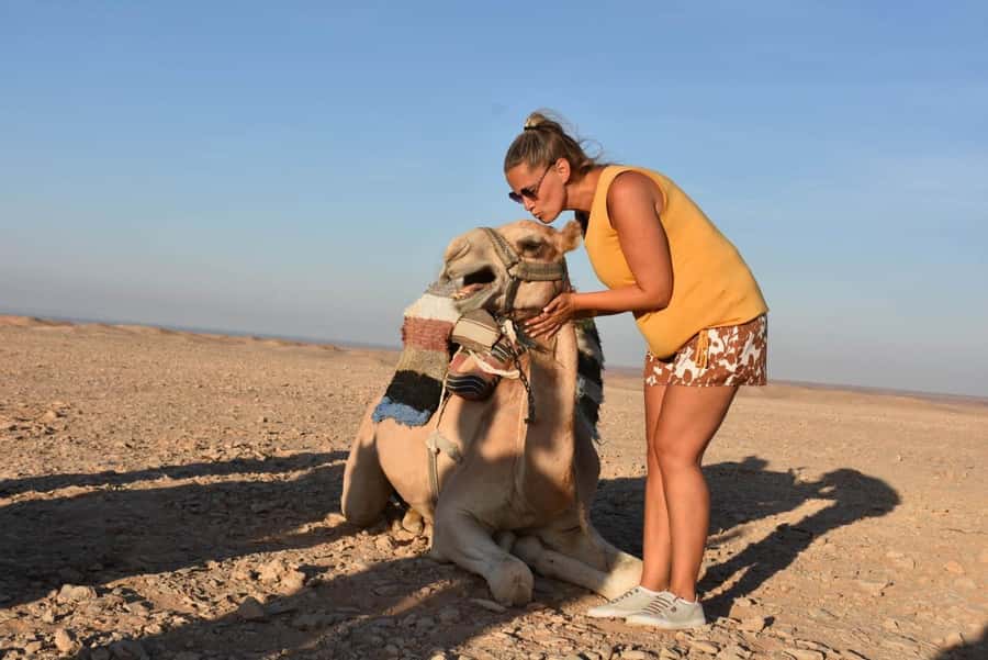 Hurghada: Camel Ride & horse ride and Off-Road Jeep Tour - What You Actually Get for $47
