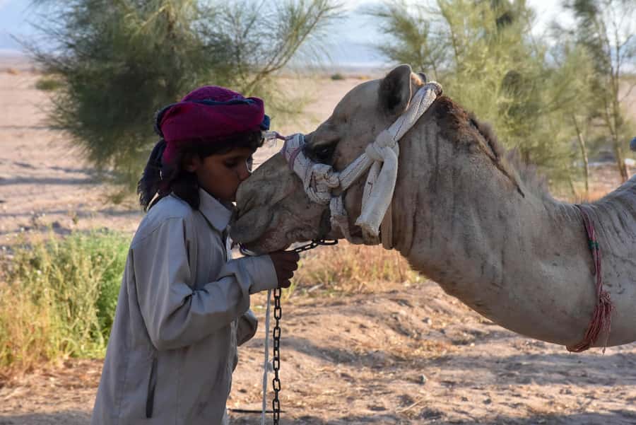 Hurghada: Camel Ride & horse ride and Off-Road Jeep Tour - One Hour on a Camel Through Valleys