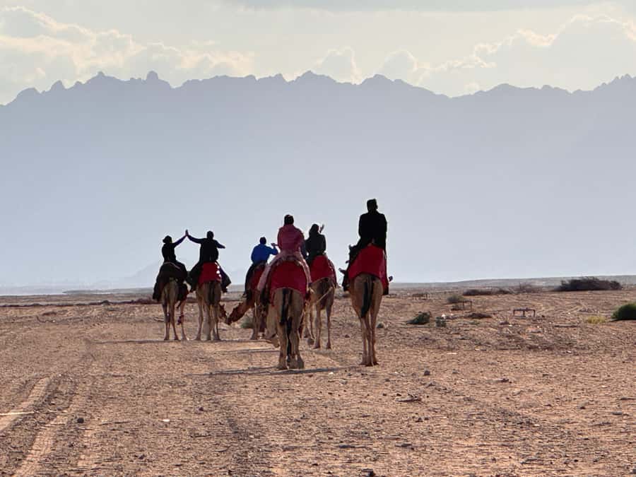 Hurghada: Camel Ride & horse ride and Off-Road Jeep Tour - Guides, Languages, and Group Size