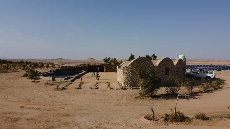 Hurghada: Camel Ride & horse ride and Off-Road Jeep Tour - Arabian Tea, Coffee, and Dates at the Farm