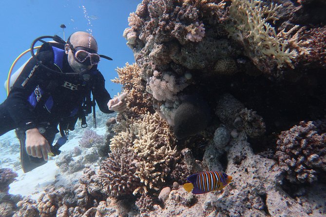 Hurghada Daily Scuba Dive Trip - From your hotel to Hurghada marina