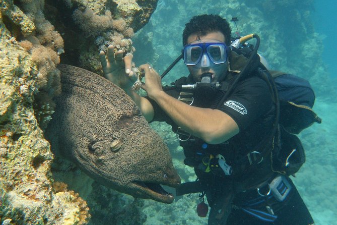 Hurghada Daily Scuba Dive Trip - Equipment, photos, and the real price