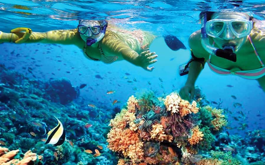 Hurghada: Day Snorkeling with Dolphins - The marina wait and boat ride to the reef