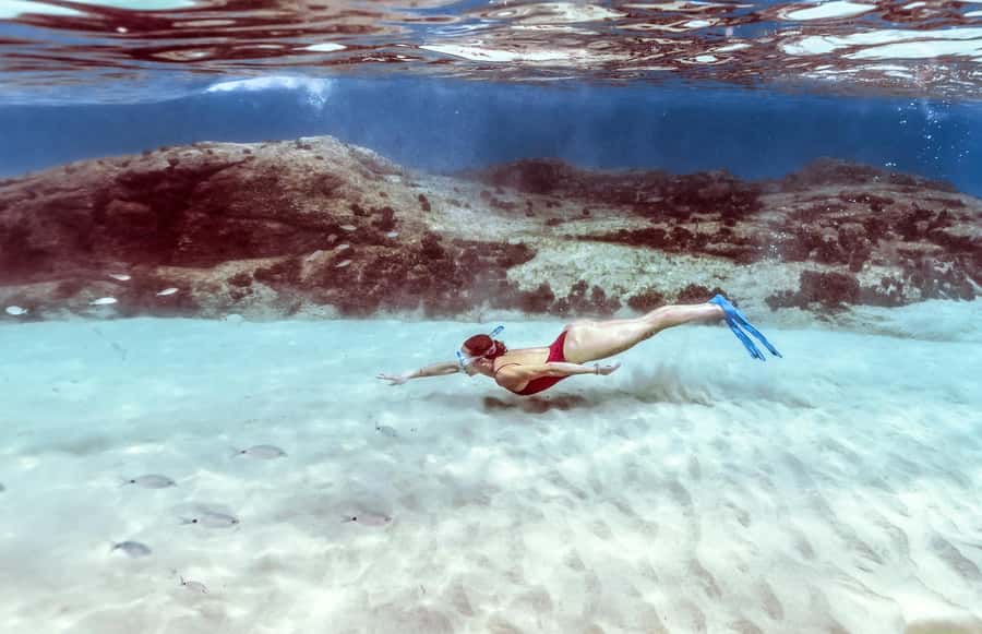 Hurghada: Day Snorkeling with Dolphins - Guided snorkeling among Red Sea coral