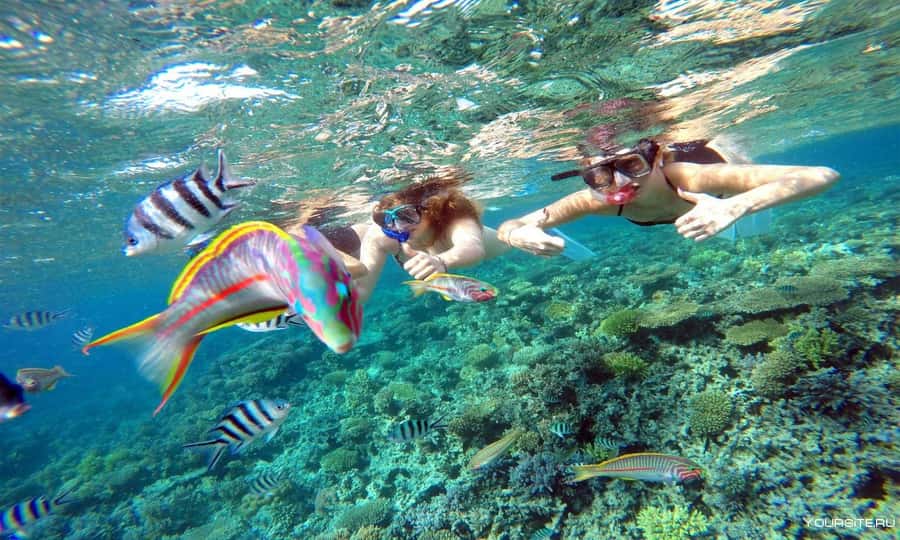 Hurghada: Day Snorkeling with Dolphins - Lunch, drinks, and the extra water stop