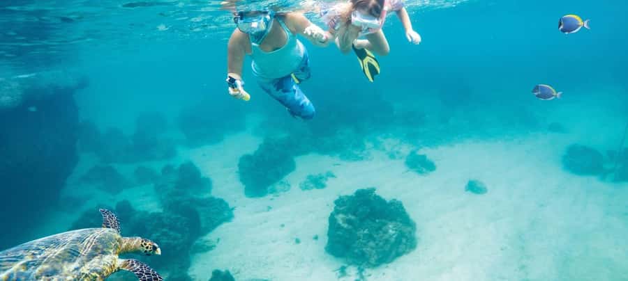 Hurghada: Day Snorkeling with Dolphins - Hotel pickup across Hurghada and beyond