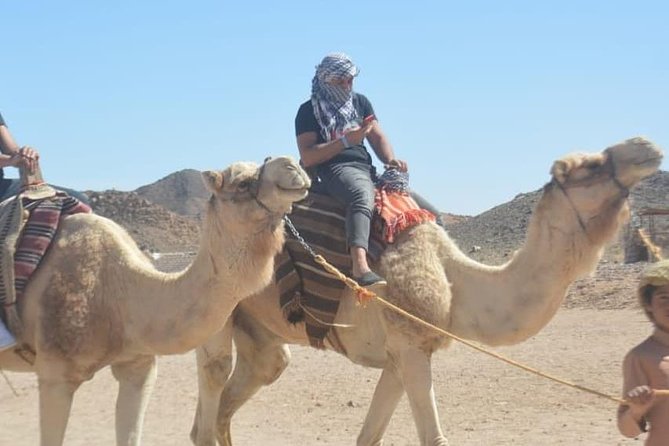 Hurghada Desert Adventure Jeep, Buggy & Quad with Dinner & Show - Bedouin dinner under the evening sky