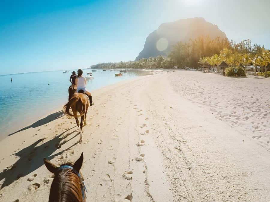 Hurghada: Desert and Sea Horseback Riding Tour with Transfer - Quick takeaways from the stable to the sea
