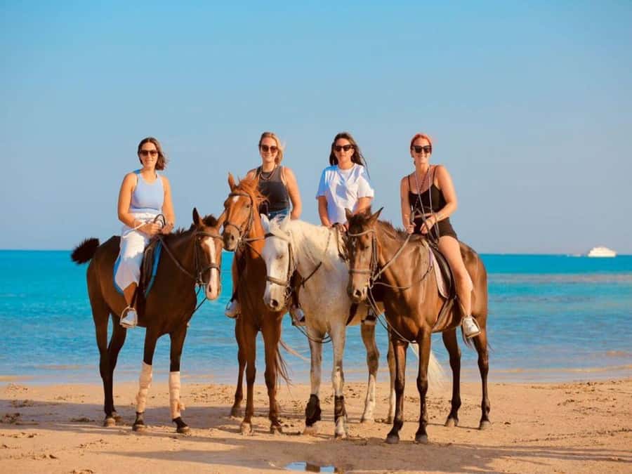 Hurghada: Desert and Sea Horseback Riding Tour with Transfer - Practical tips before you go