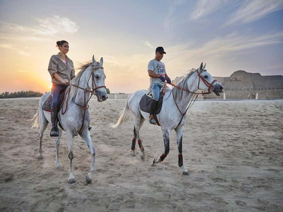 Hurghada: Desert and Sea Horseback Riding Tour with Transfer - From your Hurghada hotel to a local stable