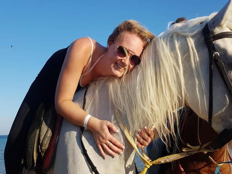 Hurghada: Desert and Sea Horseback Riding Tour with Transfer - The return to the stable