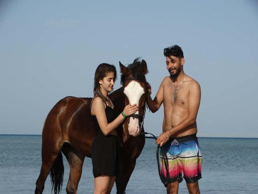 Hurghada: Desert and Sea Horseback Riding Tour with Transfer - What $50 gets you