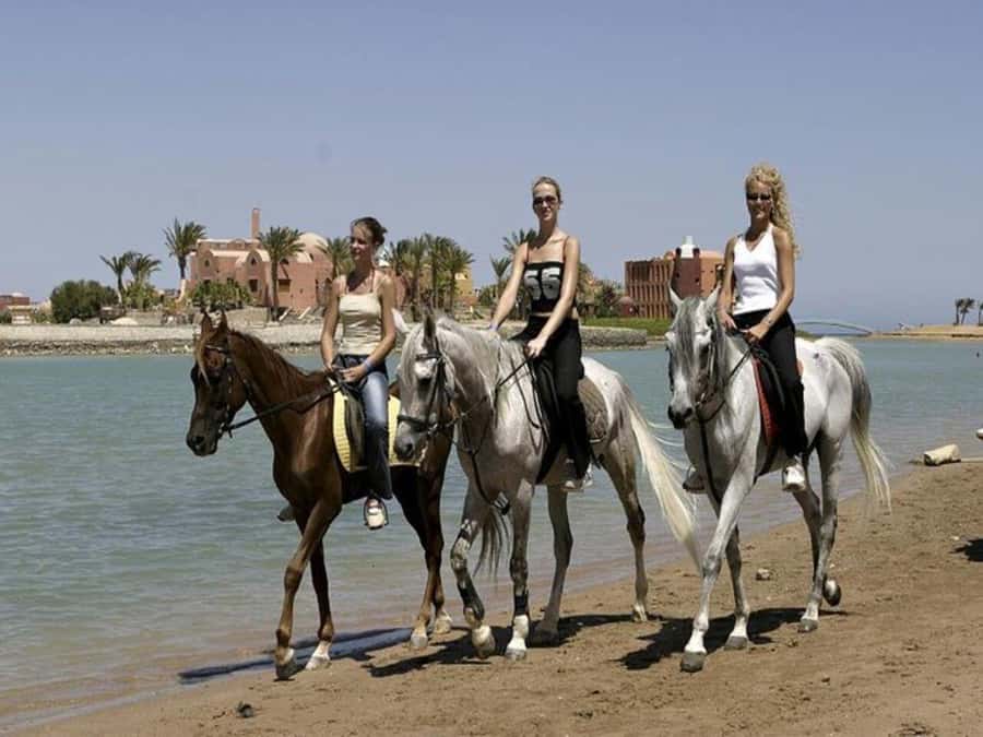 Hurghada: Desert and Sea Horseback Riding Tour with Transfer - Who will enjoy this most?