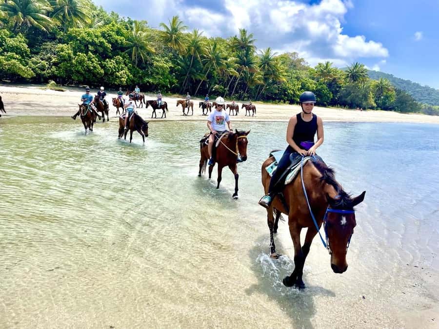 Hurghada: Desert and Sea Horseback Riding Tour with Transfer - Meeting the horses and choosing your ride